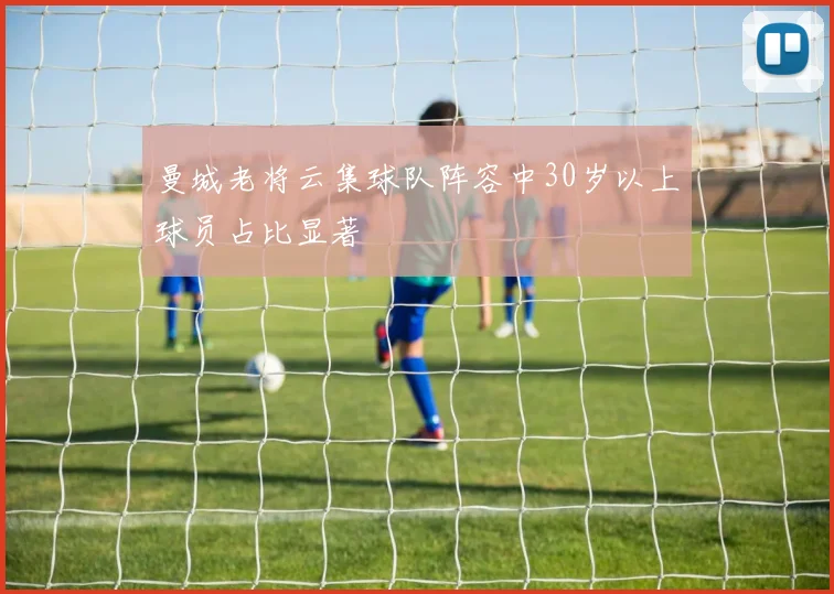 曼城老将云集球队阵容中30岁以上球员占比显著