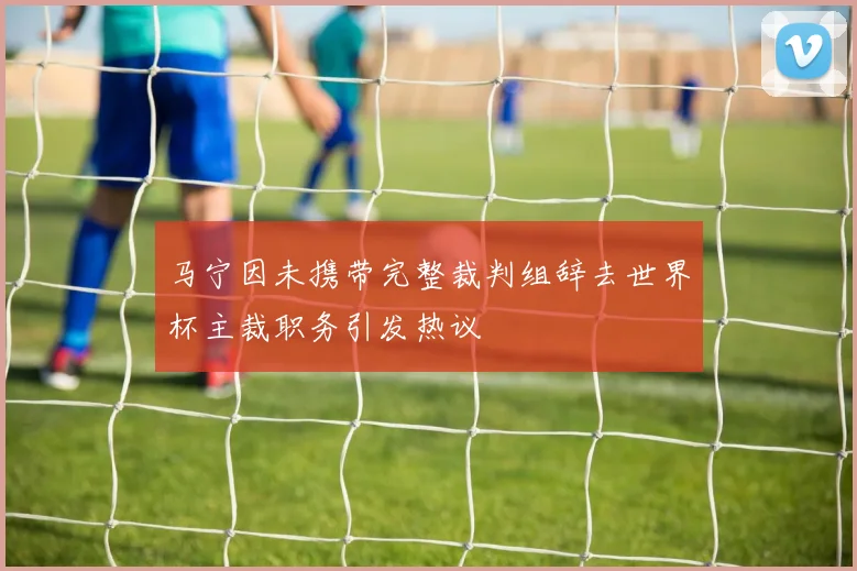 马宁因未携带完整裁判组辞去世界杯主裁职务引发热议