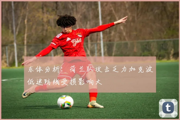 东体分析：荷兰队攻击乏力加克波低迷防线受损影响大